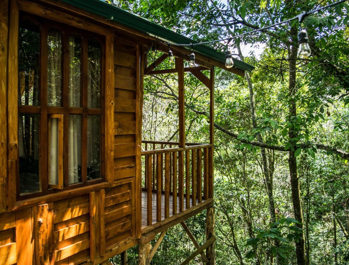 Cabanas El Coyote San Pablo  Eksteriør billede